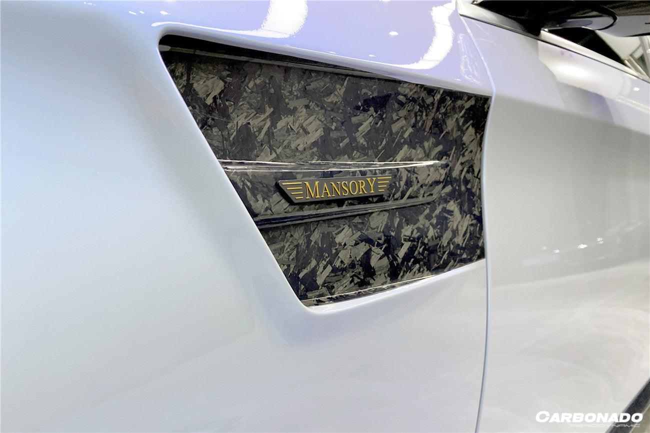 Guardabarros estilo MSY sedán Mercedes Benz S63 W222 2017-2020
