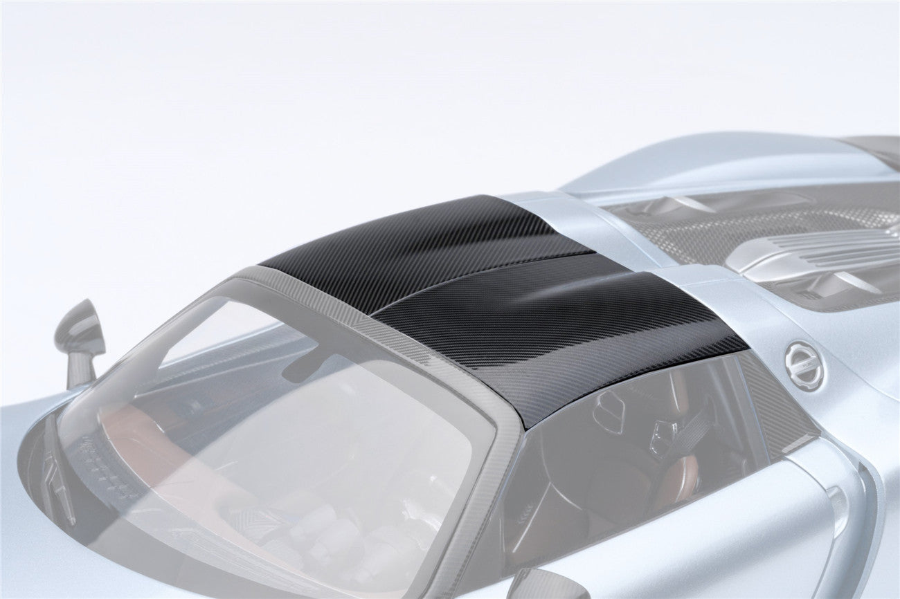 2013-2015 Porsche 918 Spyder Autoclave Carbon Fiber Car Roof