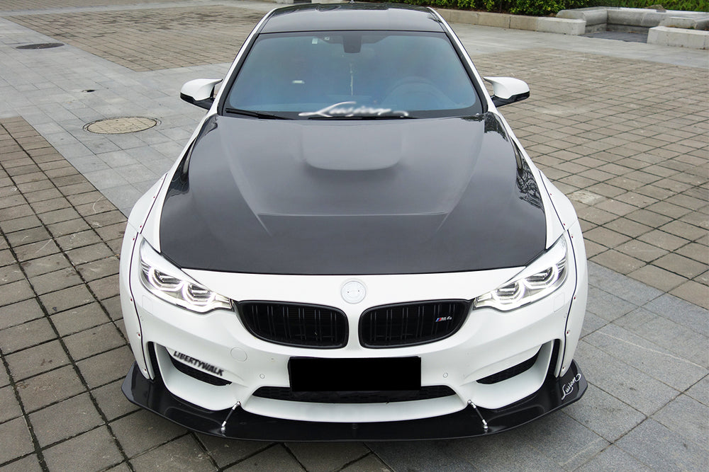 2014-2020 BMW M3 M4 GTS Style Hood