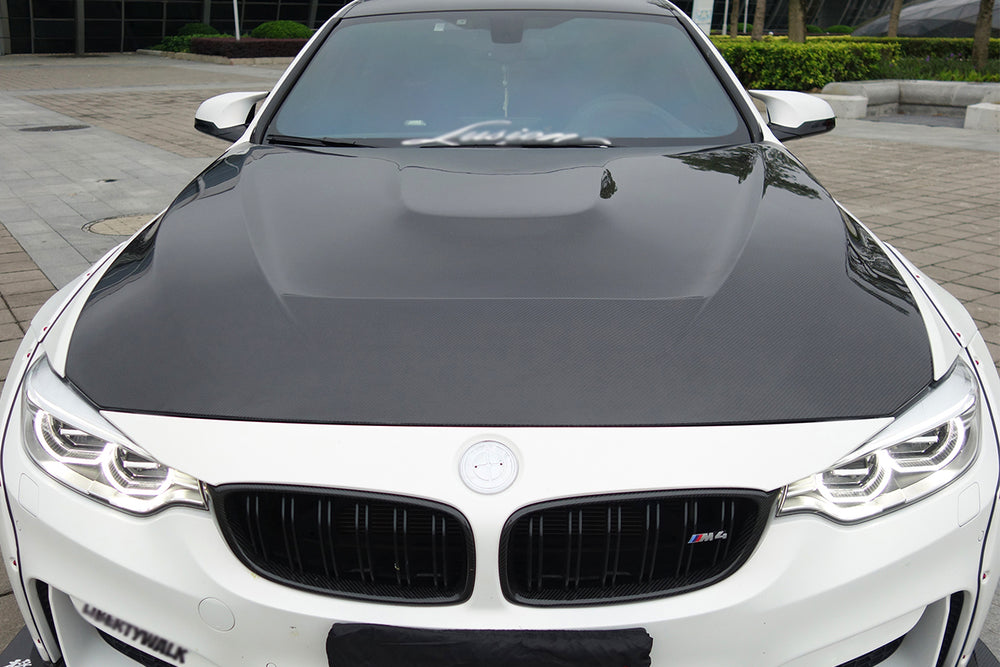 2014-2020 BMW M3 M4 GTS Style Hood