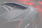  2013-2016 Lamborghini Aventador LP700 LP740 Roadster Carbon Fiber Rear Intake Panel 