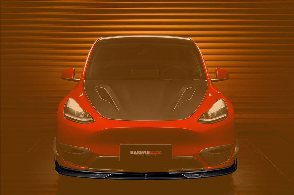 2020-2023 Tesla Model Y IMP Performance Carbon Fiber Trunk Spoiler –  LTMOTORWERKS