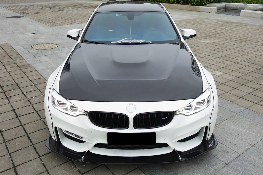 2014-2020 BMW M3/M4 GTS Style Hood - DarwinPRO Aerodynamics